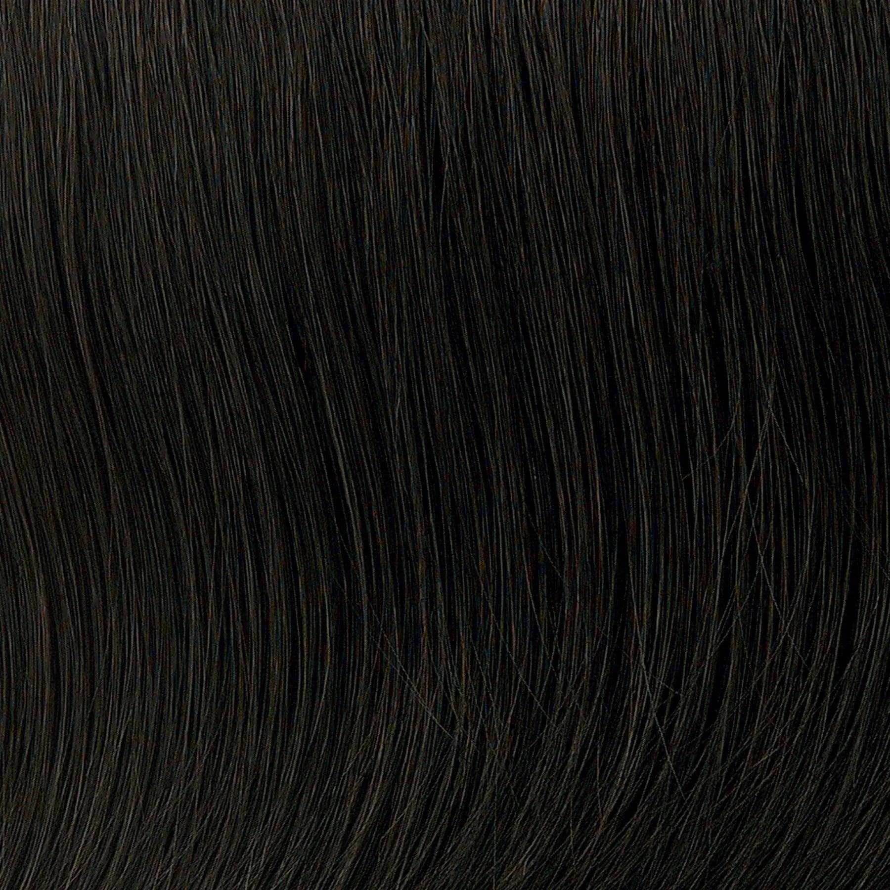 Anytime Large Wig by Toni Brattin | Heat Friendly Synthetic (Basic Cap)