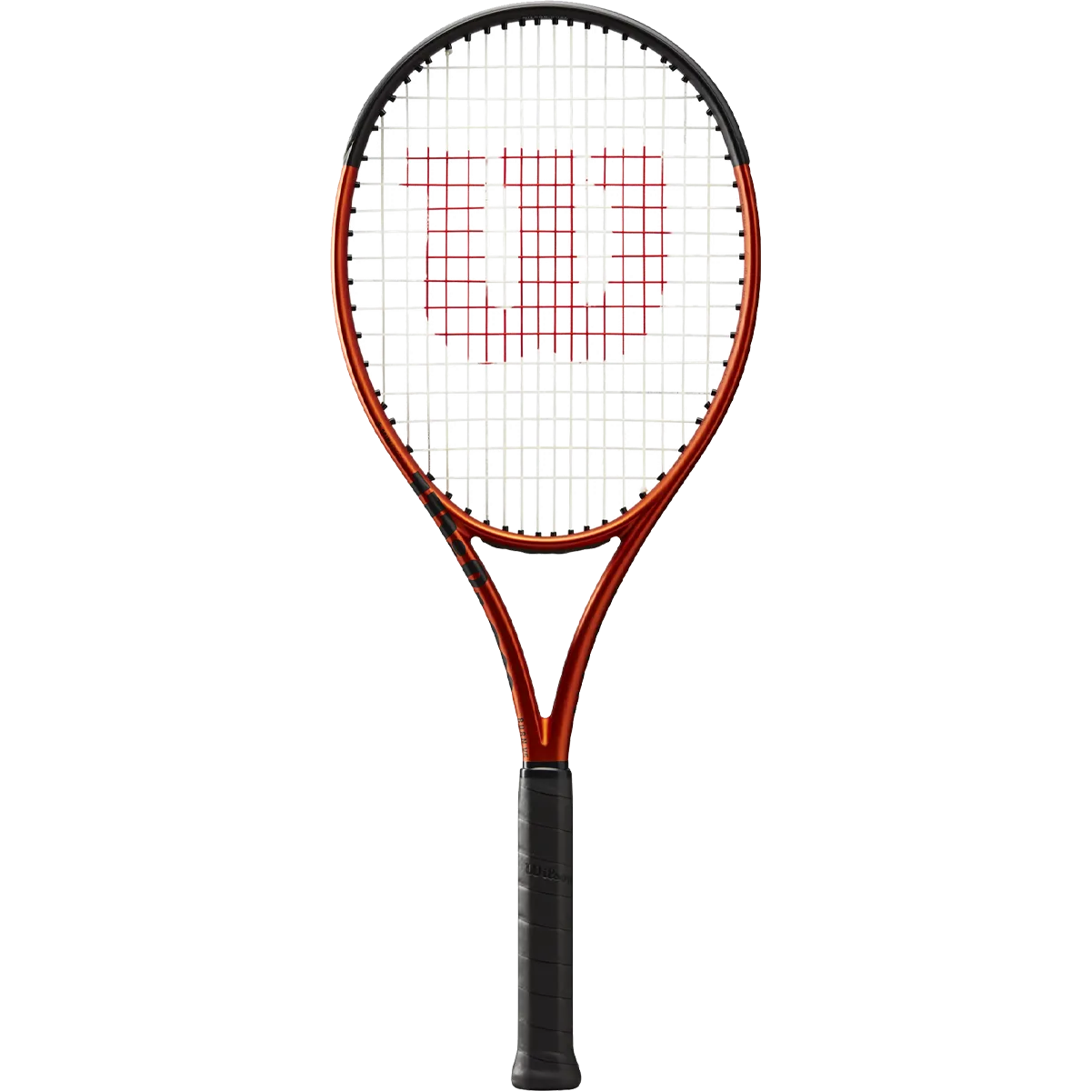 Burn 100LS v5