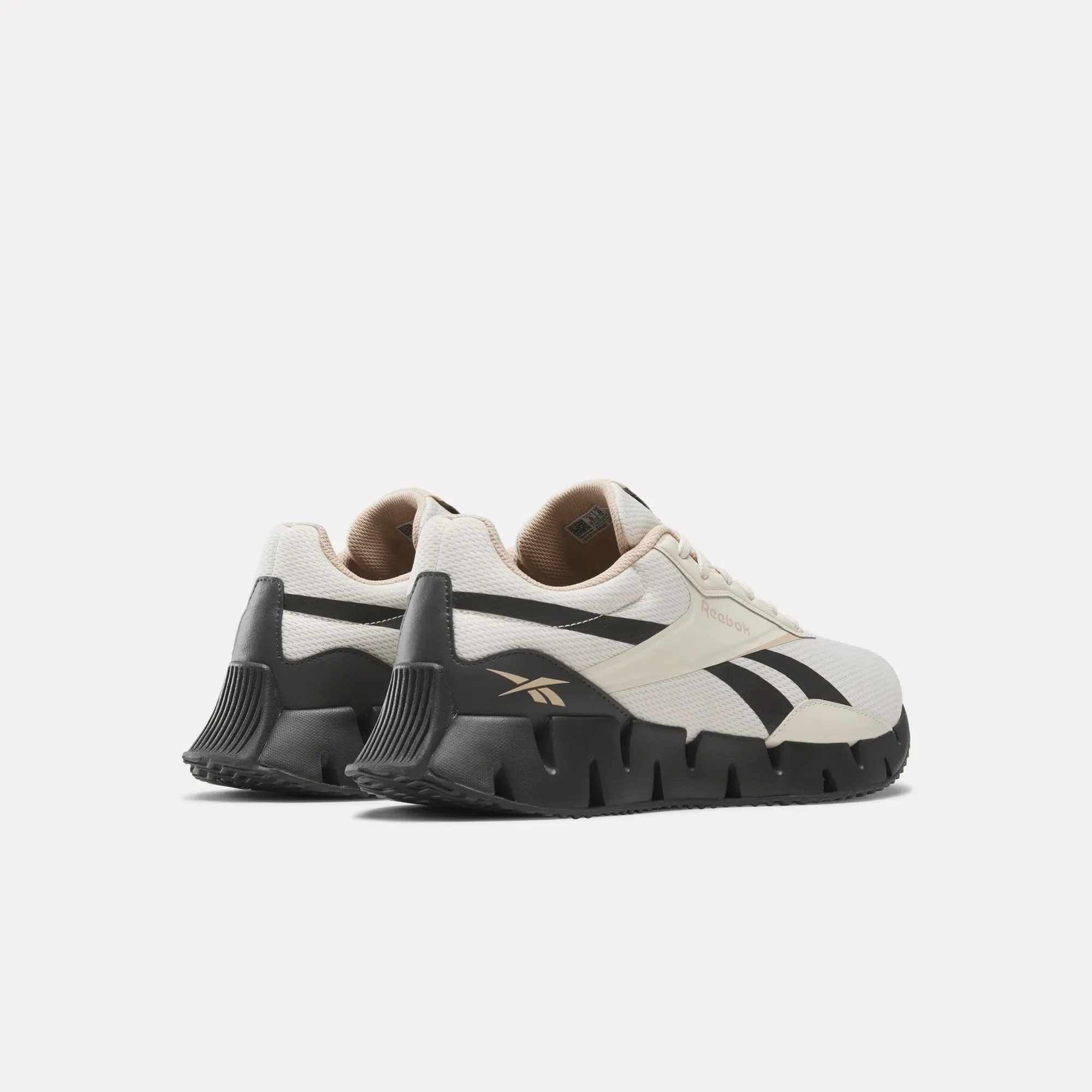 Zig Dynamica STR Shoes
